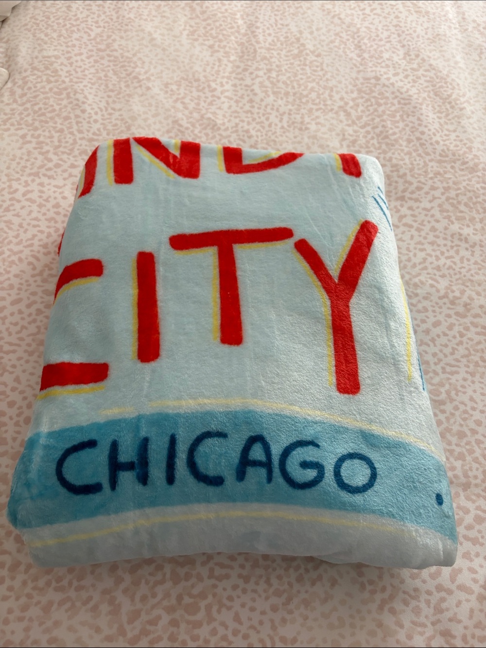 The Windy City Light Blue Chicago Plush Throw Blanket